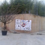 IMG-20141205-WA0008 IMG-20141205-WA0008