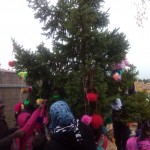 IMG_20141205_163923 IMG_20141205_163923