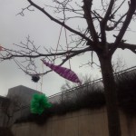 IMG_20141205_165228 IMG_20141205_165228